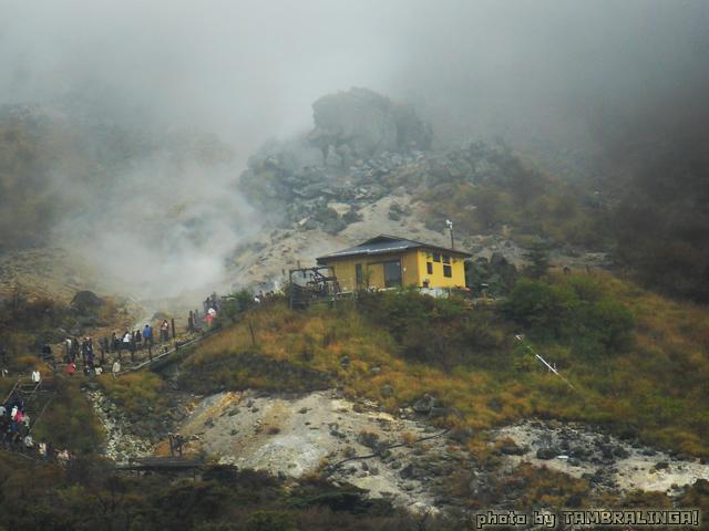 SDC11241.jpg